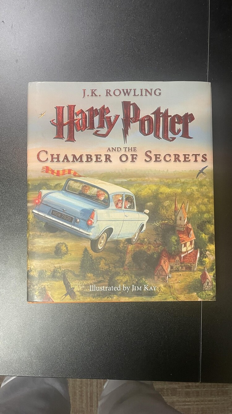 Harry Potter Chamber Of Secrets JK Rowling Kay Illustrated Hardcover Scholastic